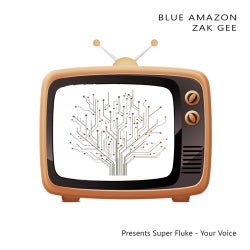 Blue Amazon, Zak Gee present Super Fluke