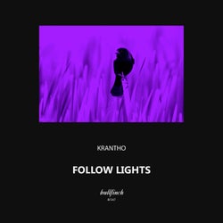 Follow Lights
