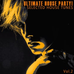 Ultimate House Party! - Vol.2