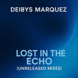 Lost in The Echo 2