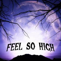 Feel So High