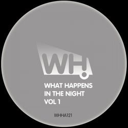 What Happens in the Night Vol 1