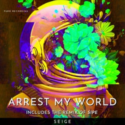 Arrest My World