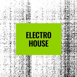 Floor Fillers: Electro House