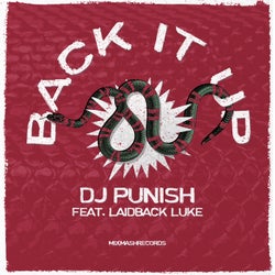 Back It Up (feat. Laidback Luke)