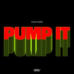 Pump It (Extended Mix)