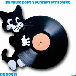 Dr Felix Dont You Want My Loving