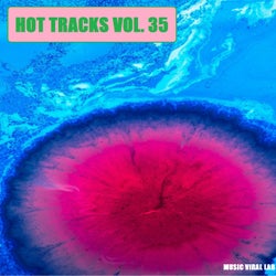 Hot Tracks Vol. 35