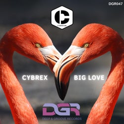 Big Love (Original Mix)