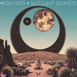 Succulent Journeys