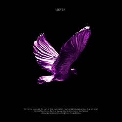 Legacy (Versions)