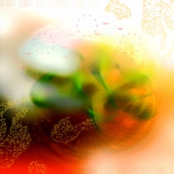 Liminal Vortex