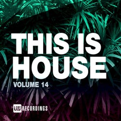 This Is House, Vol. 14