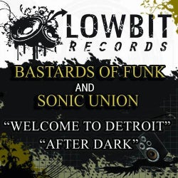 Welcome To Detroit / After Dark