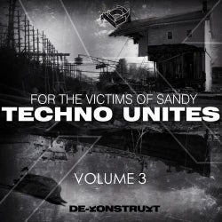 Techno Unites 'Victims of Sandy' Volume III