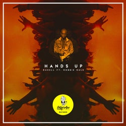 Hands Up (feat. Robbie Rule)