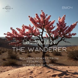 The Wanderer
