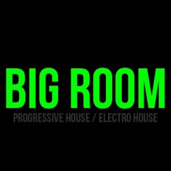 BIG ROOM / TOP 10 / AUG17