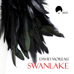 Swanlake