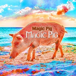 Magic Pig