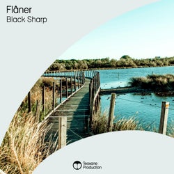 Flâner