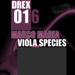 Viola Species