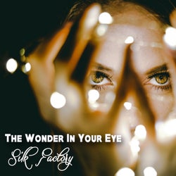 The Wonder In Your Eye (Radio Mix)