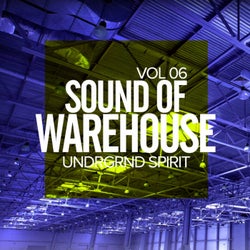 Sound Of Warehouse, Vol.6: Undrgrnd Spirit