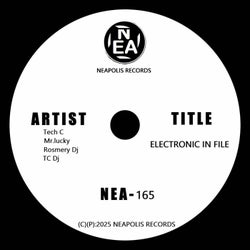 Electronic In File