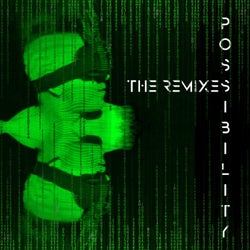 Possibility (the Remixes)