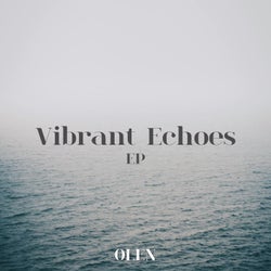 Vibrant Echoes