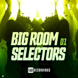 Big Room Selectors, 01