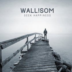 Seek Happiness (Original Mix)