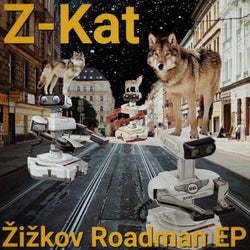Zizkov Roadman