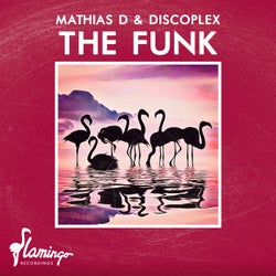The Funk - Extended Mix
