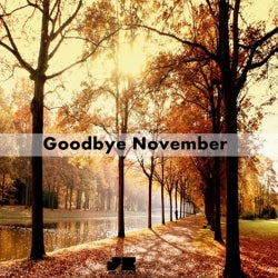 JOEL BONDIA GOODBYE NOVEMBER CHART