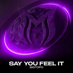 Say You Feel It