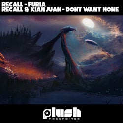 Don't Want None / Furia