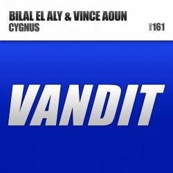 Bilal El Aly "Cygnus" Chart