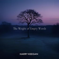 The Weight of Empty Words