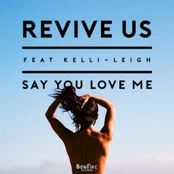 Say You Love Me (feat. Kelli-Leigh)
