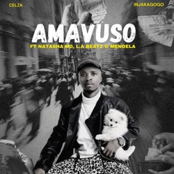 Amavuso