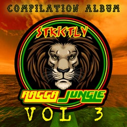 Strictly Ragga Jungle Compilation Album Vol 3