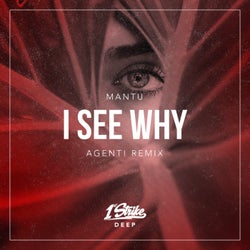 I See Why (AGENT! Remix)