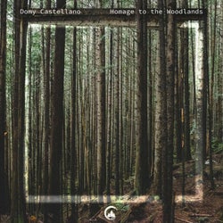 Homage To The Woodlands