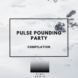 Pulse Pounding Party