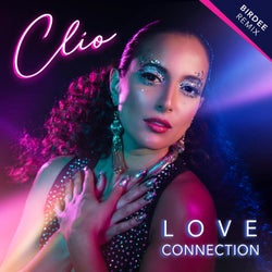 Love Connection (Birdee Remix) [Radio Edit]