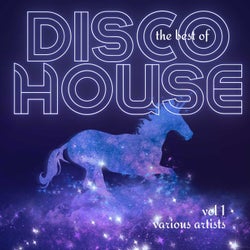 The Best of Disco House, Vol. 1