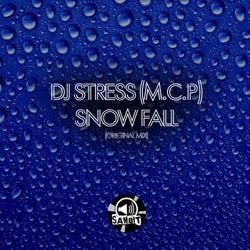 Snow Fall