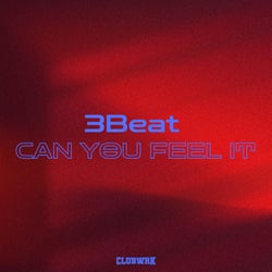 Can You Feel It - Extended Mix